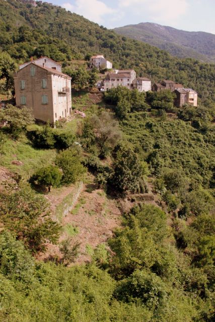 2010 07 09 jeanmarcperfetti.com 013.JPG